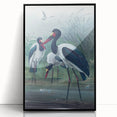 Vintage Animal Art - Storks in Nature - Retro Animal Prints