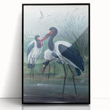Vintage Animal Art - Storks in Nature - Retro Animal Prints