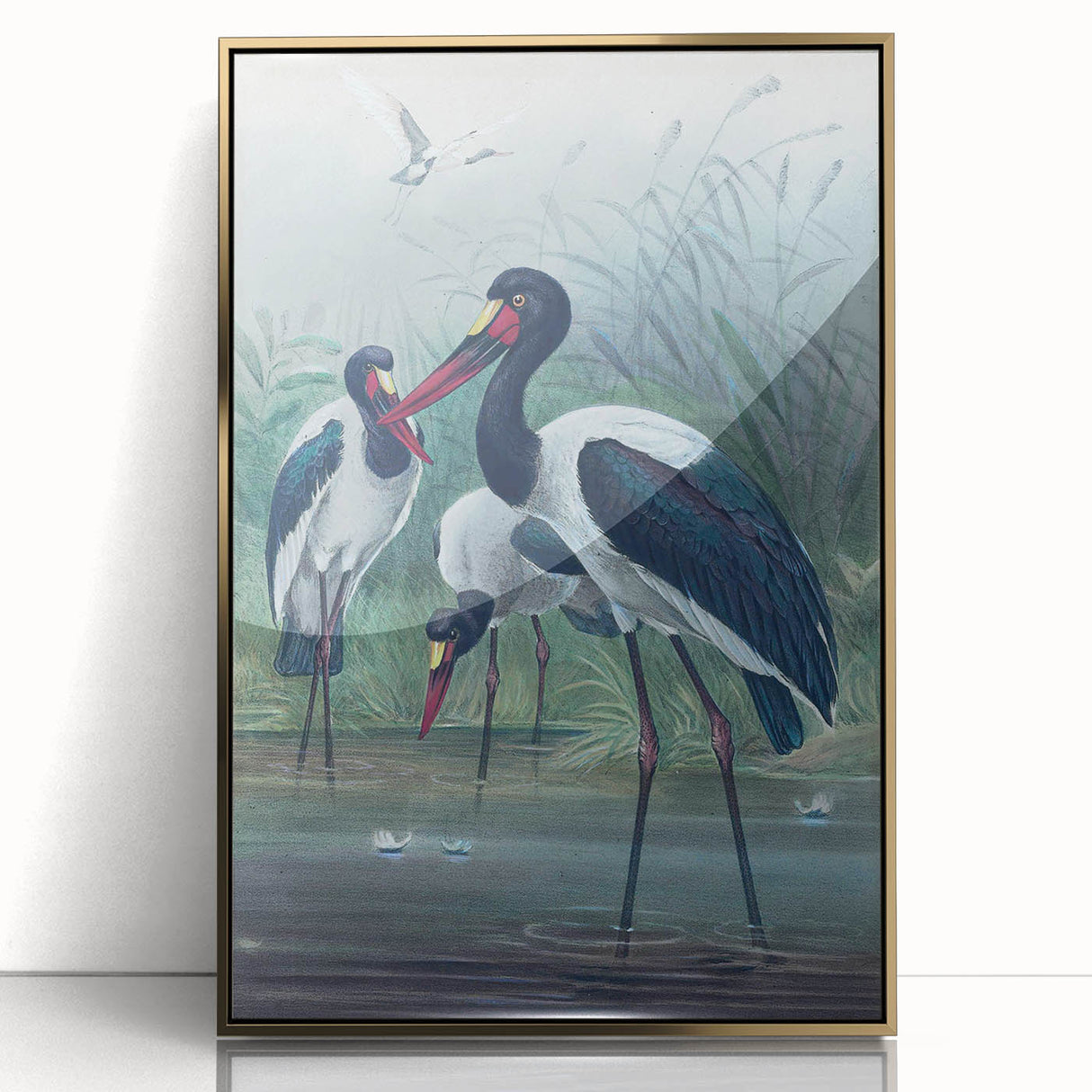 Vintage Animal Art - Storks in Nature - Retro Animal Prints