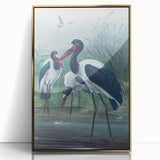 Vintage Animal Art - Storks in Nature - Retro Animal Prints