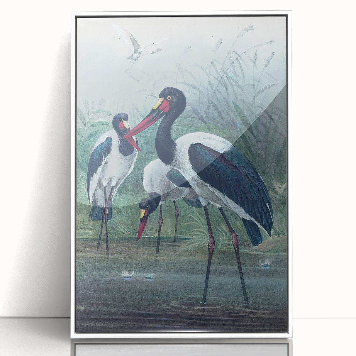 Vintage Animal Art - Storks in Nature - Retro Animal Prints