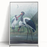 Vintage Animal Art - Storks in Nature - Retro Animal Prints