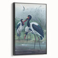 Vintage Animal Art - Storks in Nature - Retro Animal Prints