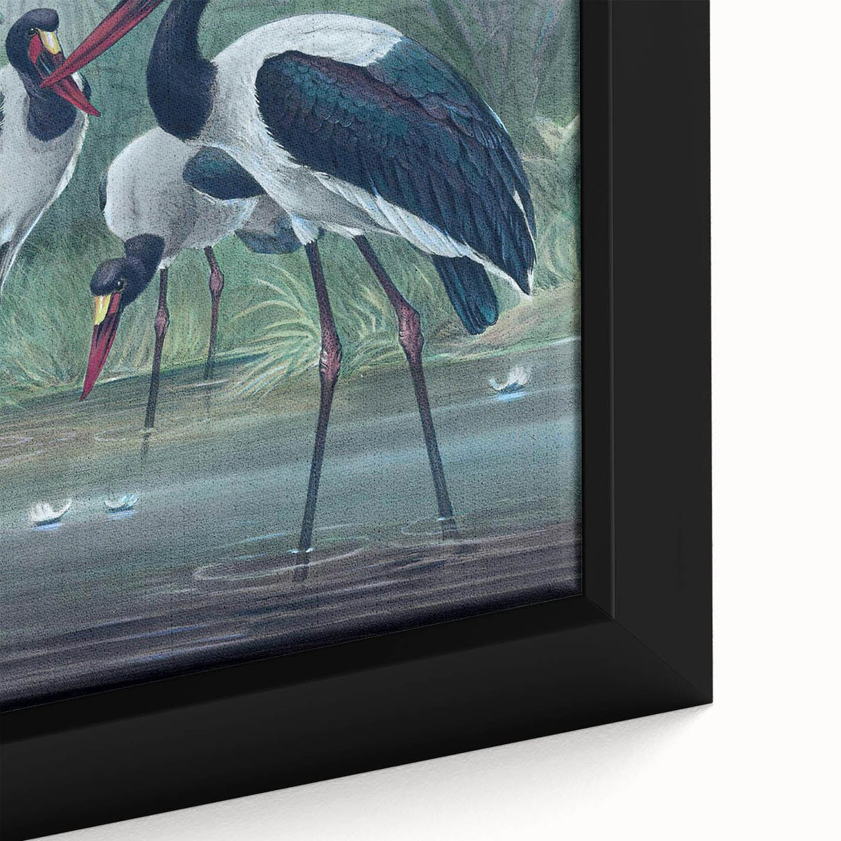 Vintage Animal Art - Storks in Nature - Retro Animal Prints