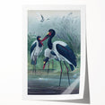 Vintage Animal Art - Storks in Nature - Retro Animal Prints
