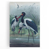 Vintage Animal Art - Storks in Nature - Retro Animal Prints