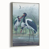 Vintage Animal Art - Storks in Nature - Retro Animal Prints
