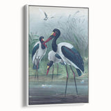 Vintage Animal Art - Storks in Nature - Retro Animal Prints