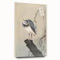 Vintage Animal Art - Perched Bird on Branch - Retro Animal Prints