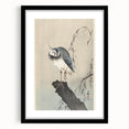 Vintage Animal Art - Perched Bird on Branch - Retro Animal Prints