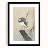 Vintage Animal Art - Perched Bird on Branch - Retro Animal Prints
