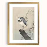 Vintage Animal Art - Perched Bird on Branch - Retro Animal Prints