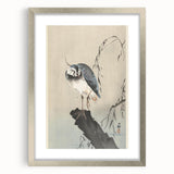 Vintage Animal Art - Perched Bird on Branch - Retro Animal Prints