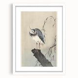 Vintage Animal Art - Perched Bird on Branch - Retro Animal Prints