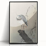 Vintage Animal Art - Perched Bird on Branch - Retro Animal Prints