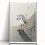 Vintage Animal Art - Perched Bird on Branch - Retro Animal Prints