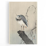 Vintage Animal Art - Perched Bird on Branch - Retro Animal Prints