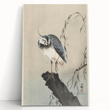 Vintage Animal Art - Perched Bird on Branch - Retro Animal Prints