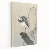 Vintage Animal Art - Perched Bird on Branch - Retro Animal Prints