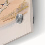 Vintage Animal Art - Swallows in Flight - Retro Animal Prints