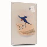 Vintage Animal Art - Swallows in Flight - Retro Animal Prints