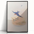 Vintage Animal Art - Swallows in Flight - Retro Animal Prints