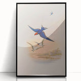 Vintage Animal Art - Swallows in Flight - Retro Animal Prints