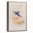 Vintage Animal Art - Swallows in Flight - Retro Animal Prints