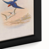 Vintage Animal Art - Swallows in Flight - Retro Animal Prints