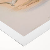 Vintage Animal Art - Swallows in Flight - Retro Animal Prints