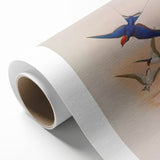 Vintage Animal Art - Swallows in Flight - Retro Animal Prints