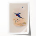 Vintage Animal Art - Swallows in Flight - Retro Animal Prints