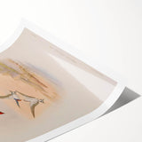 Vintage Animal Art - Swallows in Flight - Retro Animal Prints