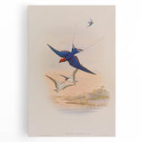 Vintage Animal Art - Swallows in Flight - Retro Animal Prints