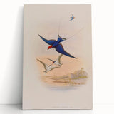 Vintage Animal Art - Swallows in Flight - Retro Animal Prints