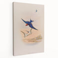 Vintage Animal Art - Swallows in Flight - Retro Animal Prints