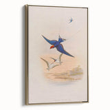 Vintage Animal Art - Swallows in Flight - Retro Animal Prints