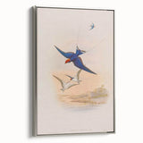 Vintage Animal Art - Swallows in Flight - Retro Animal Prints