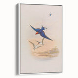 Vintage Animal Art - Swallows in Flight - Retro Animal Prints