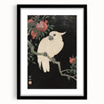 Vintage Animal Art - White Parrot with Pomegranates - Retro Animal Prints
