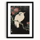 Vintage Animal Art - White Parrot with Pomegranates - Retro Animal Prints