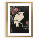 Vintage Animal Art - White Parrot with Pomegranates - Retro Animal Prints