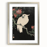 Vintage Animal Art - White Parrot with Pomegranates - Retro Animal Prints