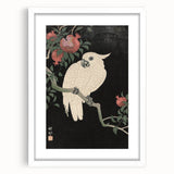 Vintage Animal Art - White Parrot with Pomegranates - Retro Animal Prints