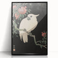 Vintage Animal Art - White Parrot with Pomegranates - Retro Animal Prints