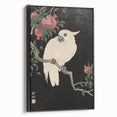 Vintage Animal Art - White Parrot with Pomegranates - Retro Animal Prints