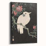 Vintage Animal Art - White Parrot with Pomegranates - Retro Animal Prints