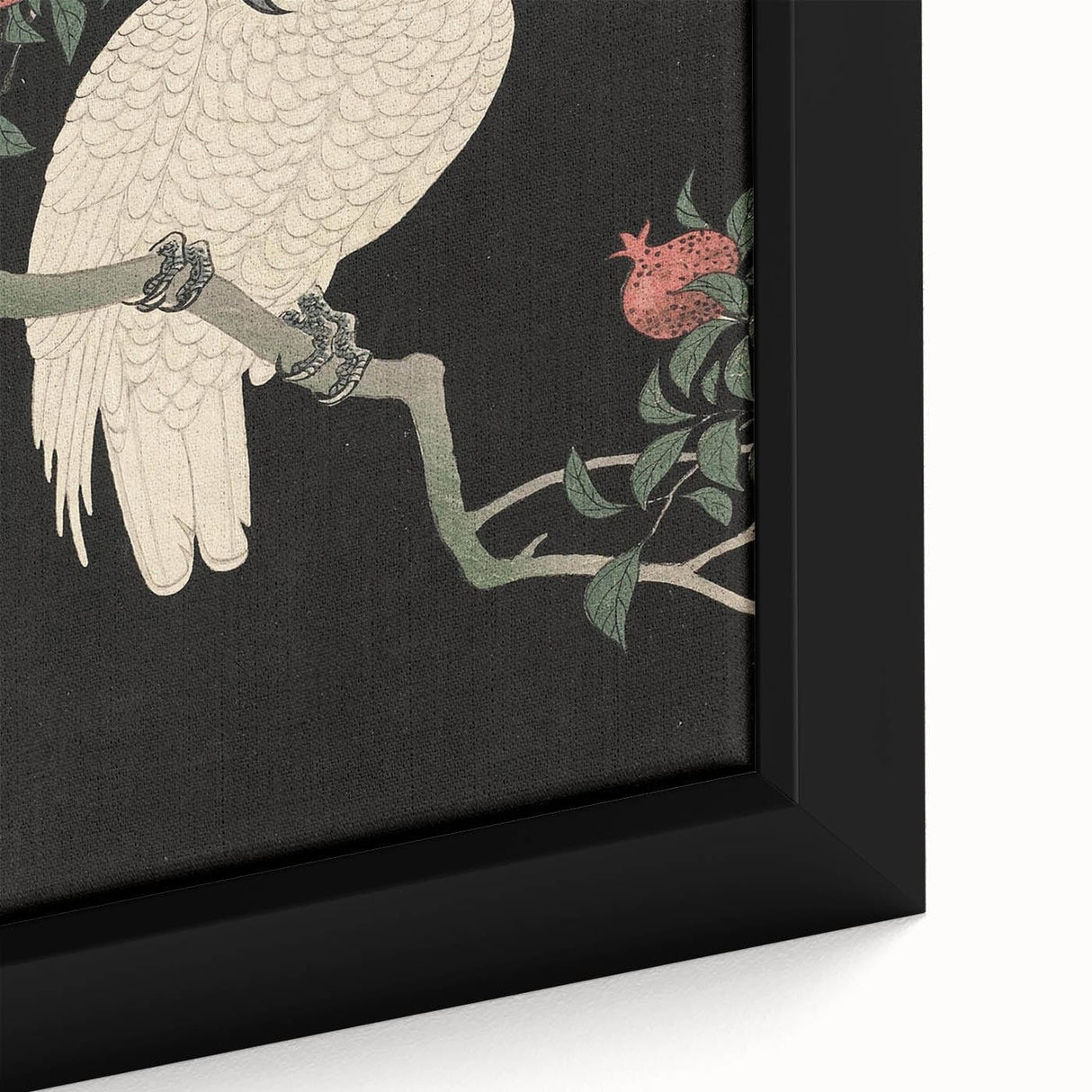 Vintage Animal Art - White Parrot with Pomegranates - Retro Animal Prints