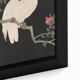 Vintage Animal Art - White Parrot with Pomegranates - Retro Animal Prints