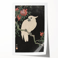 Vintage Animal Art - White Parrot with Pomegranates - Retro Animal Prints